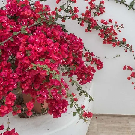Depis & Apartment Naxos City